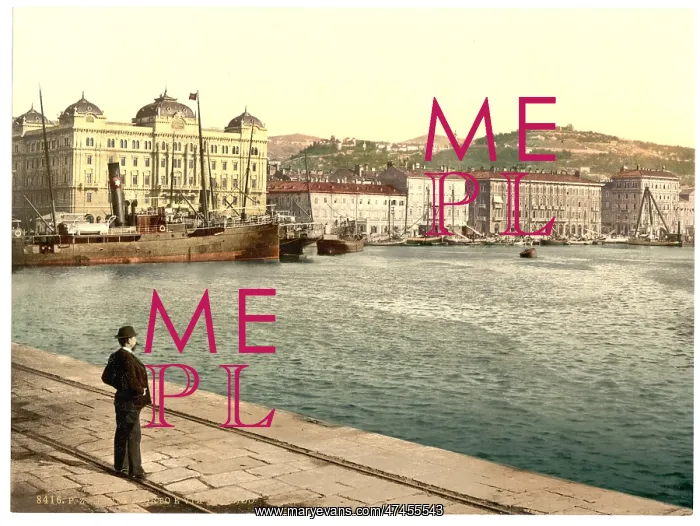 : Fiume, the harbor, Croatia, Austro-Hungary : Fiume, the harbor, Croatia, Austro-Hungary