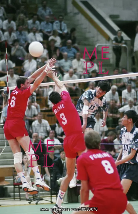: FIVB Volleyball World League : FIVB Volleyball World League