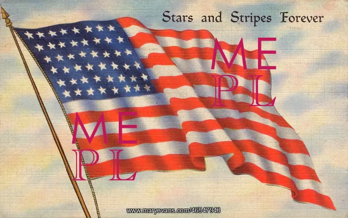 : US Flag. US flag with 48 Stars (denoting 48 states in the Union) - Stars : US Flag. US flag with 48 Stars (denoting 48 states in the Union) - Stars