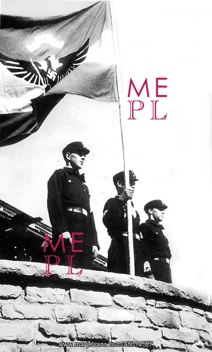 : Flag of the Adolf Hitler Schools : Flag of the Adolf Hitler Schools