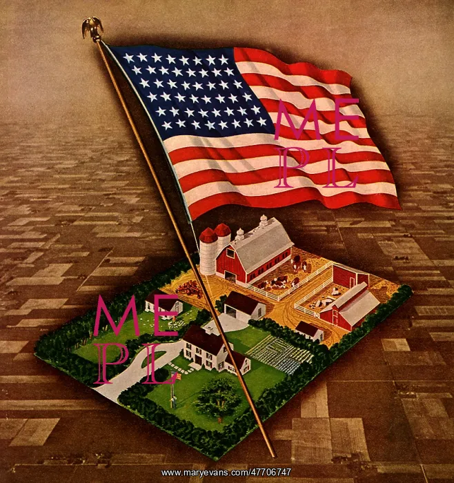  : Flag and Farm