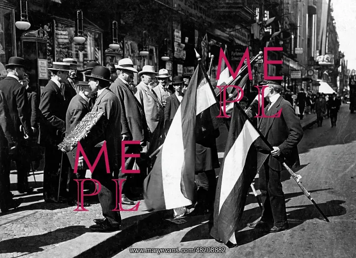 : Flag salesmen in Berlin, 1914 : Flag salesmen in Berlin, 1914