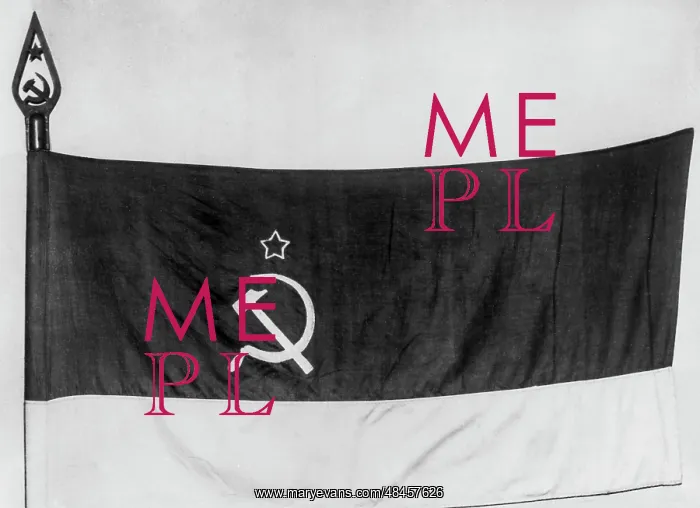 : Flag of the Ukrainian SSR : Flag of the Ukrainian SSR