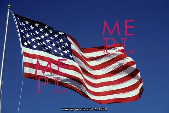 : Flag of the United States : Flag of the United States