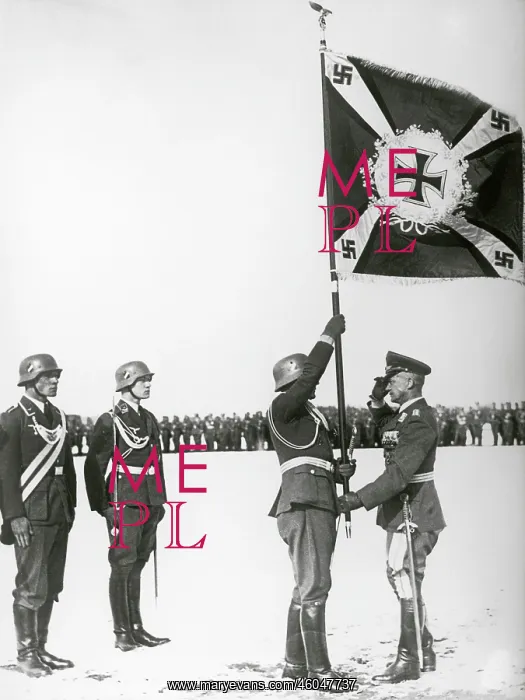 : Flagdisposal through general Felmy : Flagdisposal through general Felmy