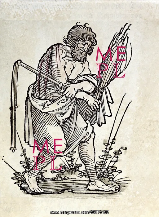 : Flagellation : Flagellation