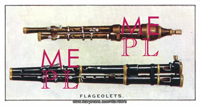  : Flageolets