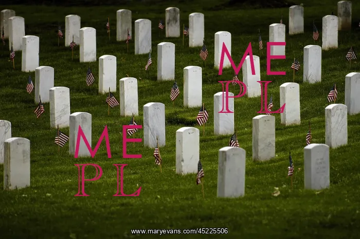: Flags at gravesites in Arlington National ? : Flags at gravesites in Arlington National ?