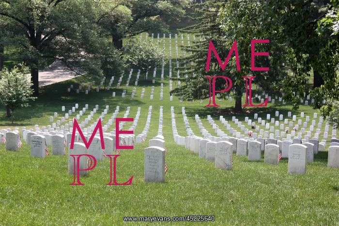 : Flags at gravesites in Arlington National ? : Flags at gravesites in Arlington National ?