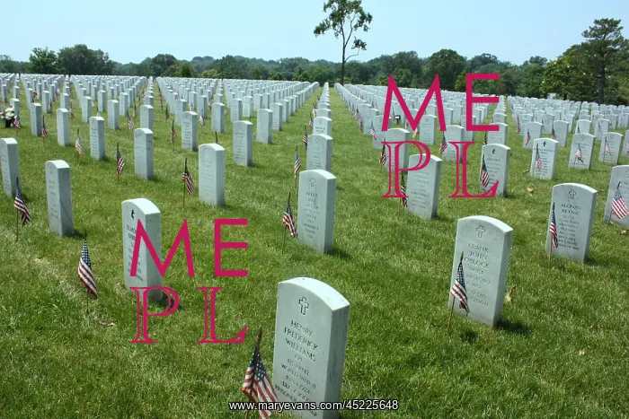 : Flags at gravesites in Arlington National ? : Flags at gravesites in Arlington National ?