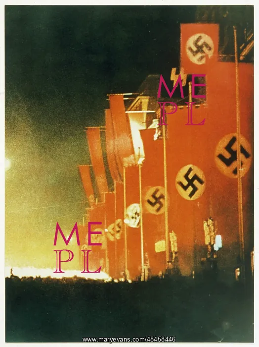 : FLAGS AND TORCHES : FLAGS AND TORCHES