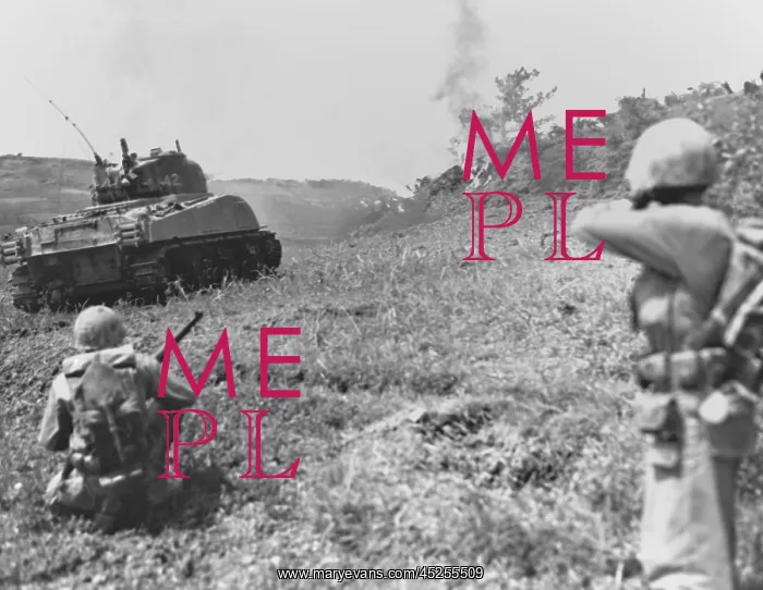 : Flame throwing Marine tank and riflemen moving : Flame throwing Marine tank and riflemen moving
