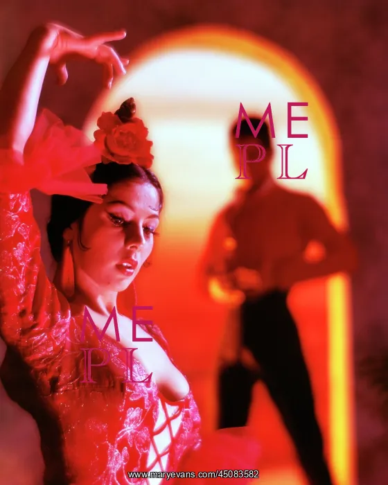 : Flamenco Dancer : Flamenco Dancer