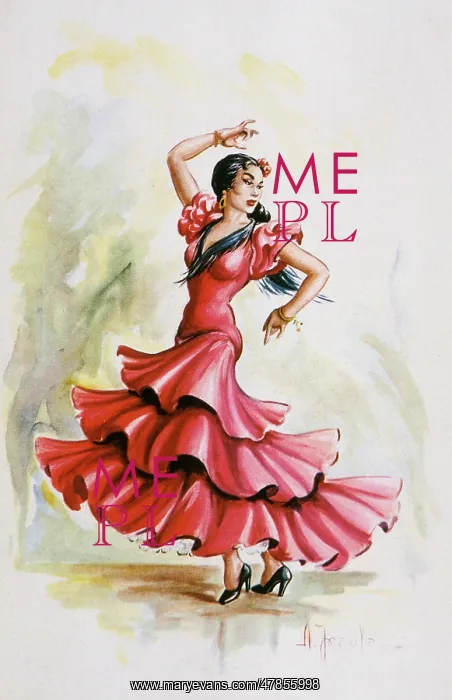  : FLAMENCO DANCER