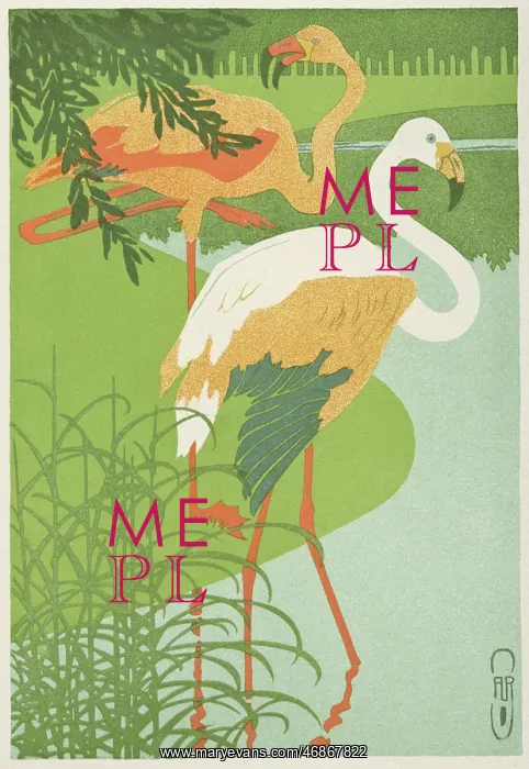  : Flamingoes at the waterside