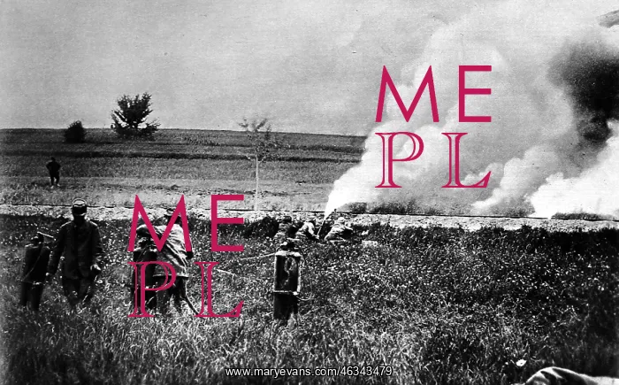: Flammenwerfer in French hands : Flammenwerfer in French hands