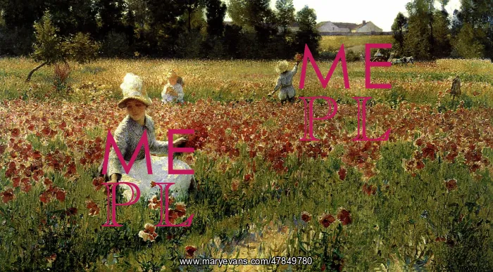  : In Flanders Field