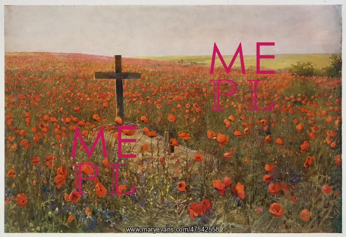 : In Flanders Fields : In Flanders Fields