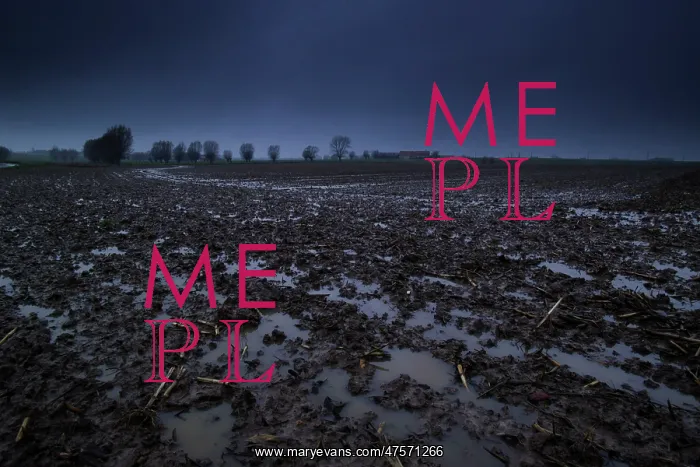 : Flanders mud : Flanders mud