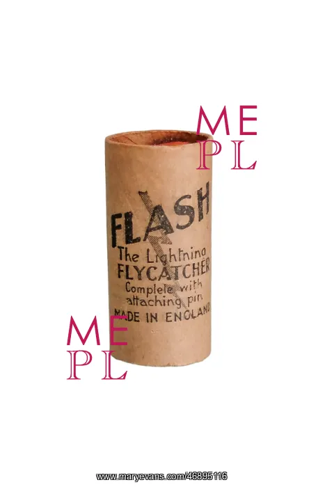 : Flash fly papers : Flash fly papers