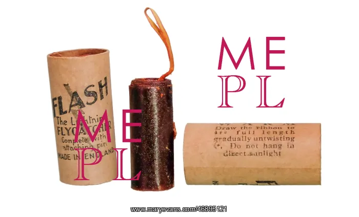 : Flash fly papers with instructions : Flash fly papers with instructions