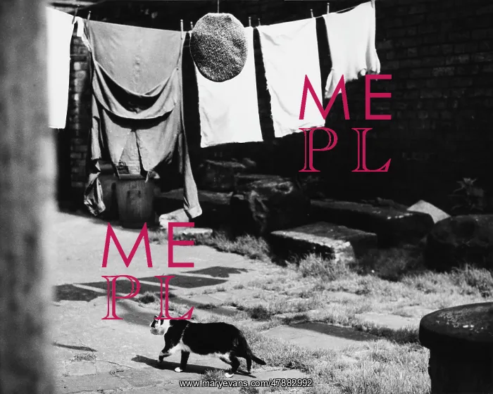 : Flat cap on the washing line - Wigan : Flat cap on the washing line - Wigan