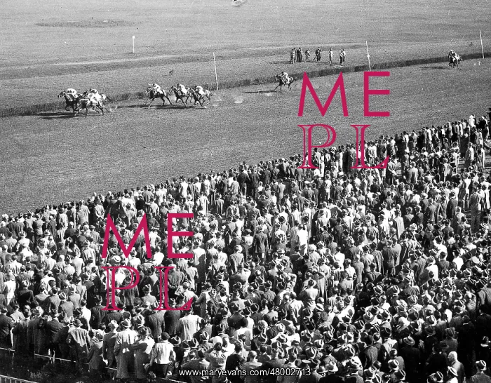 : Flat racing track Hoppegarten 1937 : Flat racing track Hoppegarten 1937