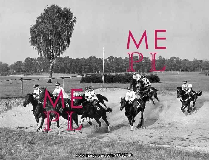 : Flat racing track Hoppegarten 1938 : Flat racing track Hoppegarten 1938