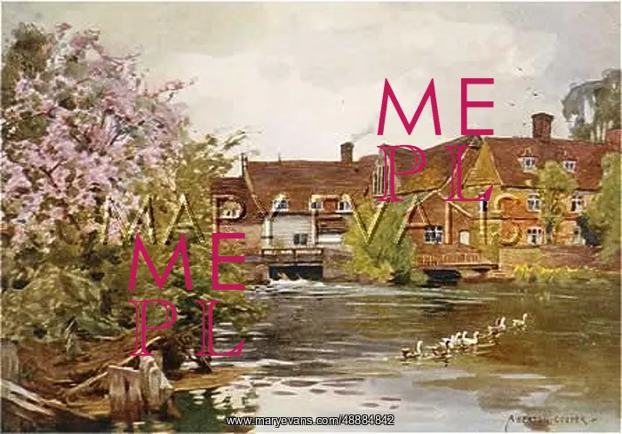 : FLATFORD MILL / SUFFOLK : FLATFORD MILL / SUFFOLK