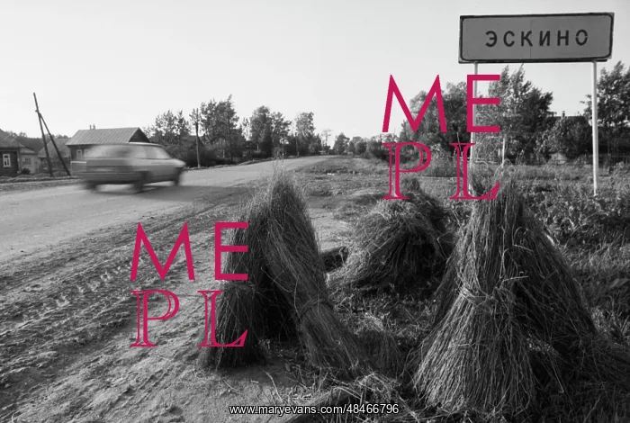 : Flax harvesting : Flax harvesting