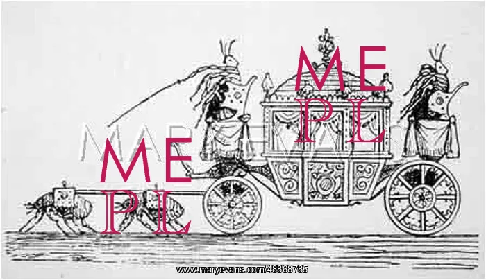  : Flea Circus