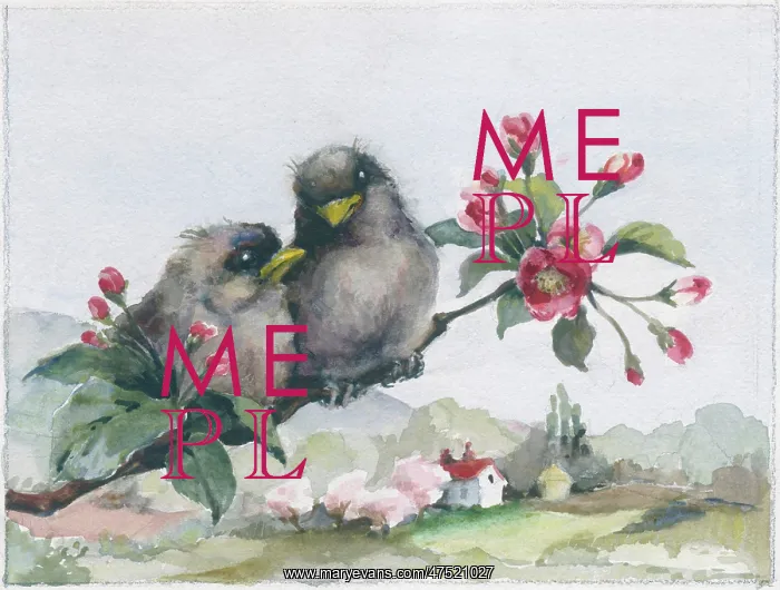 : Two Fledglings on an apple blossom bough : Two Fledglings on an apple blossom bough
