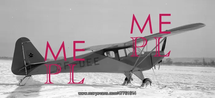 : Fleet 80 Canuck CF-DEE : Fleet 80 Canuck CF-DEE