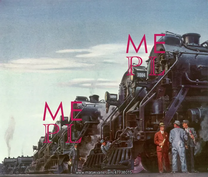  : Fleet of Locomotives