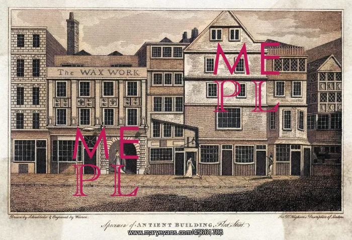 : FLEET STREET BUILDINGS : FLEET STREET BUILDINGS