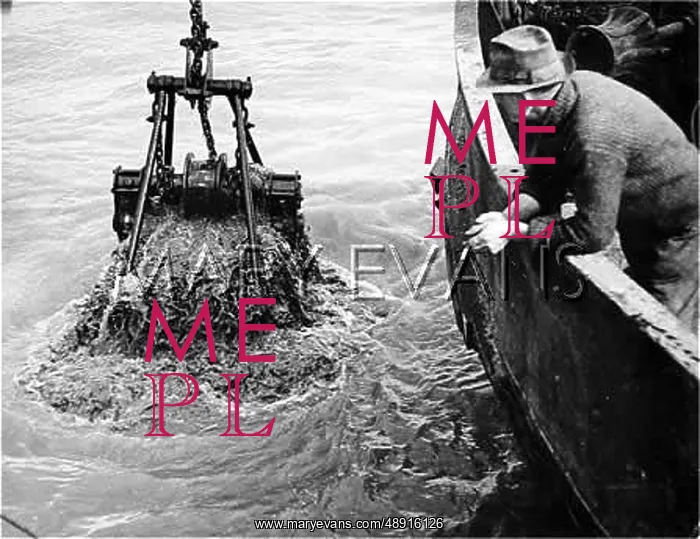 : FLEETWOOD DREDGER : FLEETWOOD DREDGER