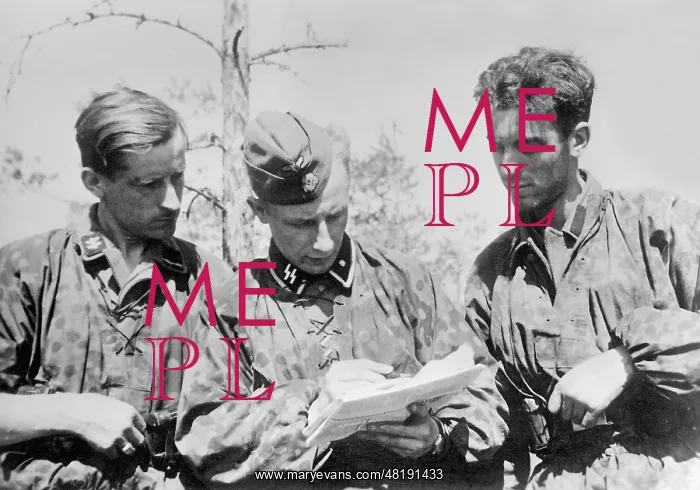 : Flemish soldiers of the Waffen SS on the Eastern front, 1942 : Flemish soldiers of the Waffen SS on the Eastern front, 1942