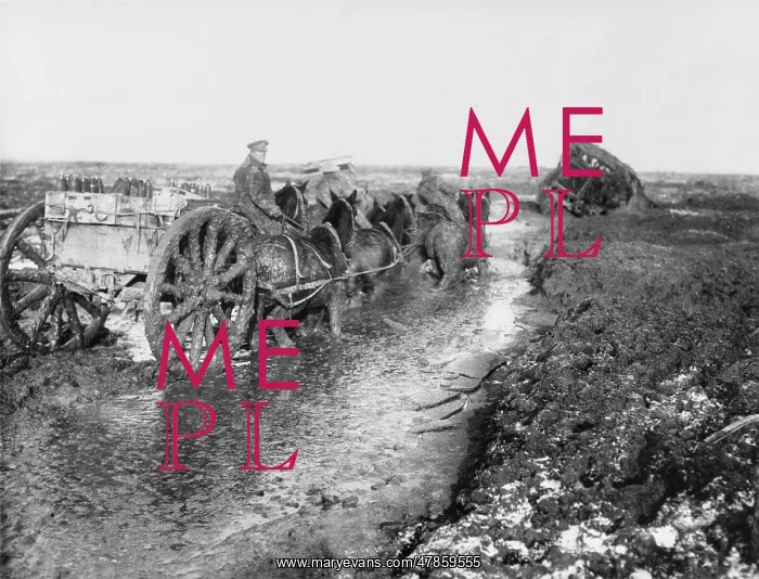 : Flers 1916 : Flers 1916