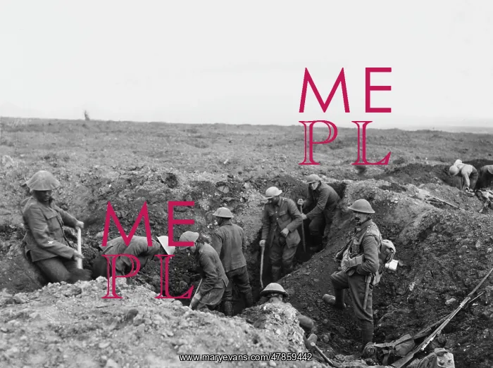 : Flers-Courcelette 1916 : Flers-Courcelette 1916