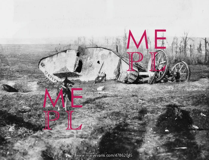 : Flers-Courcelette 1916 : Flers-Courcelette 1916