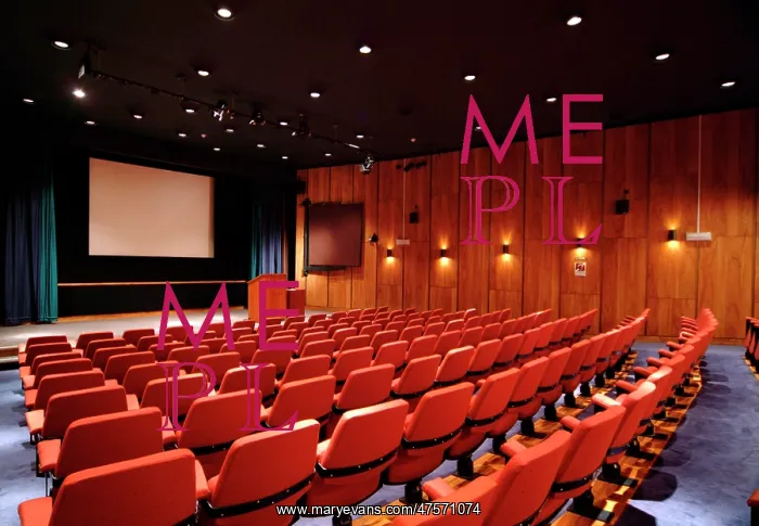 : The Flett Theatre : The Flett Theatre