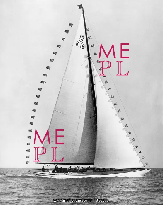 : FLICA YACHT : FLICA YACHT