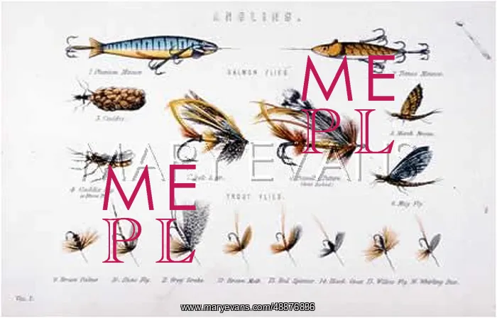  : FLIES FOR SALMON & TROUT