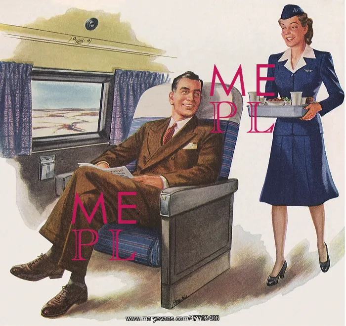  : Flight Attendant and Man