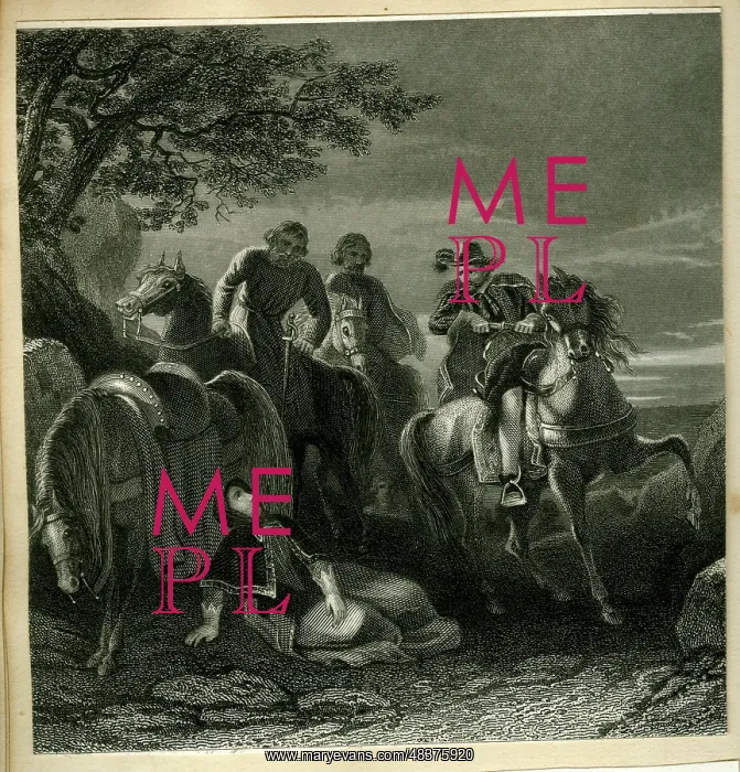 : Flight of the Earl of Tyrone from Ireland : Flight of the Earl of Tyrone from Ireland