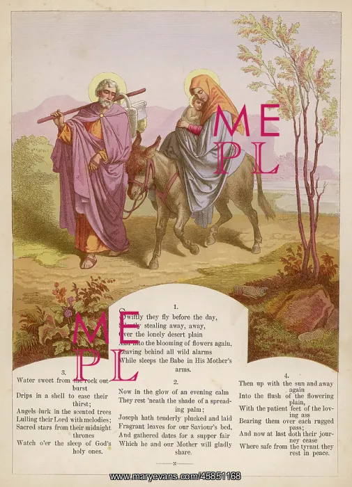 : The Flight into Egypt : The Flight into Egypt