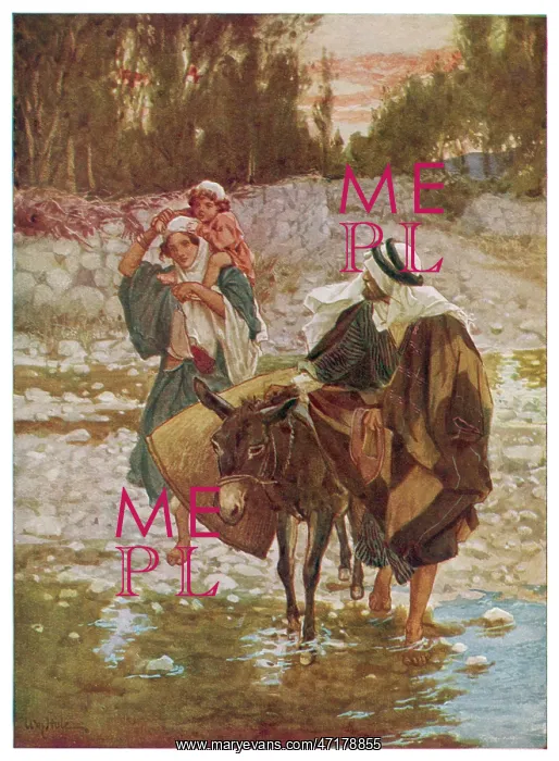 : Flight to Egypt : Flight to Egypt