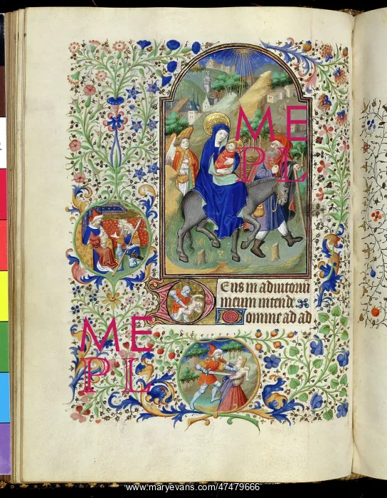 : The Flight into Egypt : The Flight into Egypt