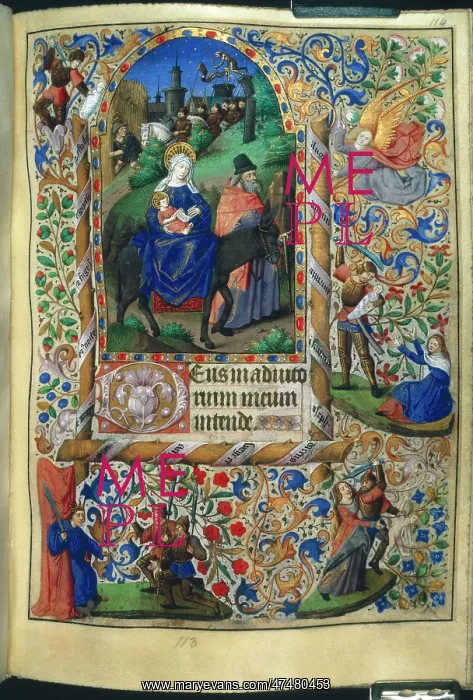 : The Flight into Egypt : The Flight into Egypt