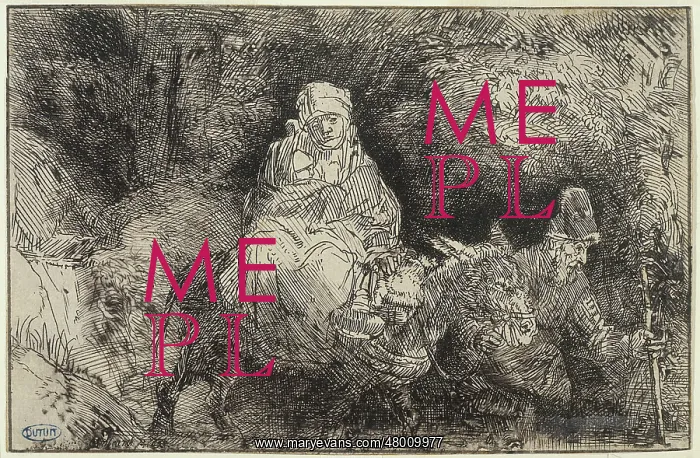 : The flight into Egypt : The flight into Egypt